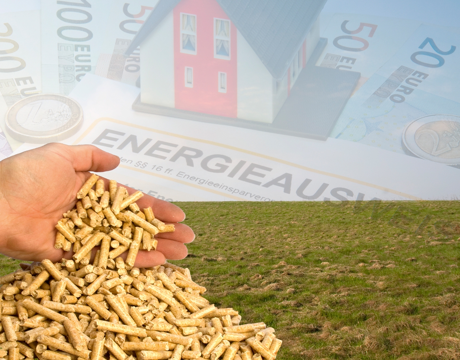 ÖKOPROFIT – Kosten senken und die Umwelt schonen